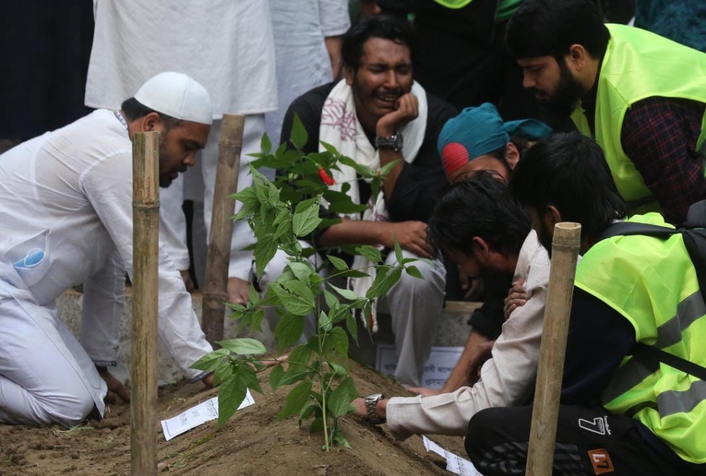 Burial - Planting Sapling